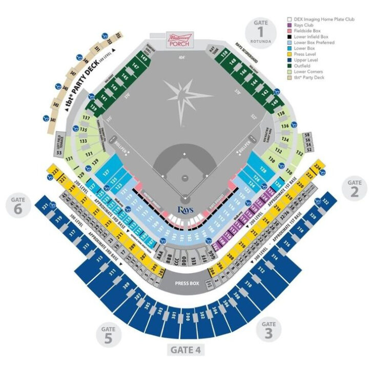 Tampa Bay Rays 2022 Printable Schedule - Printable Schedule